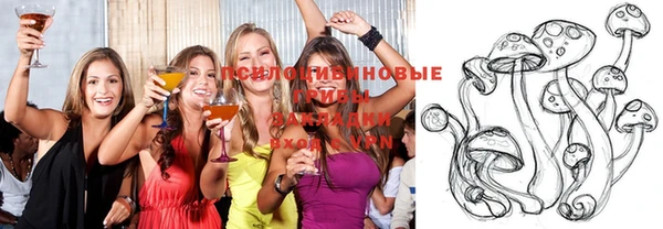 ECSTASY Коряжма