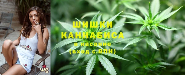 ECSTASY Коряжма
