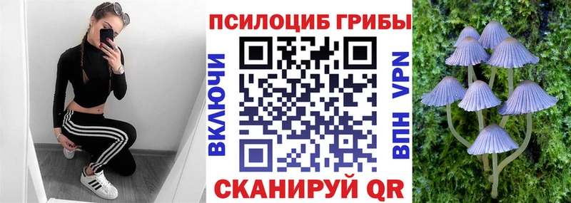 Купить закладки  Усолье  Галлюциногенные грибы Psilocybe 